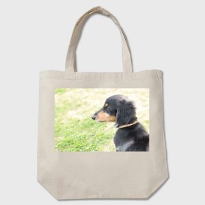 オリジナルグッズ エコバッグ